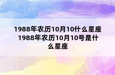 1988年农历10月10什么星座 1988年农历10月10号是什么星座